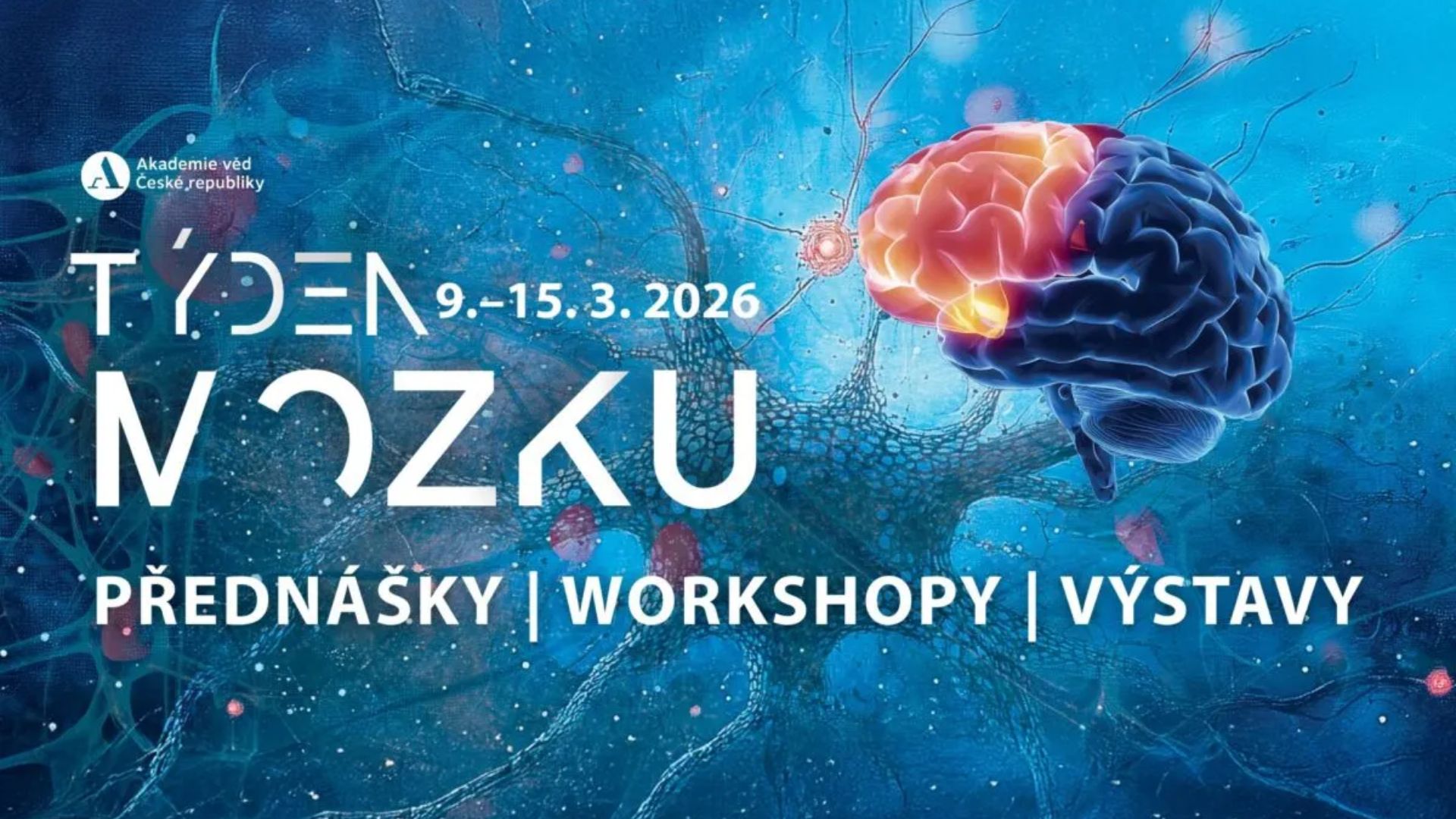 Týden mozku 2026: Jak restartovat náš nejsložitější orgán a co mu dnes škodí nejvíce?