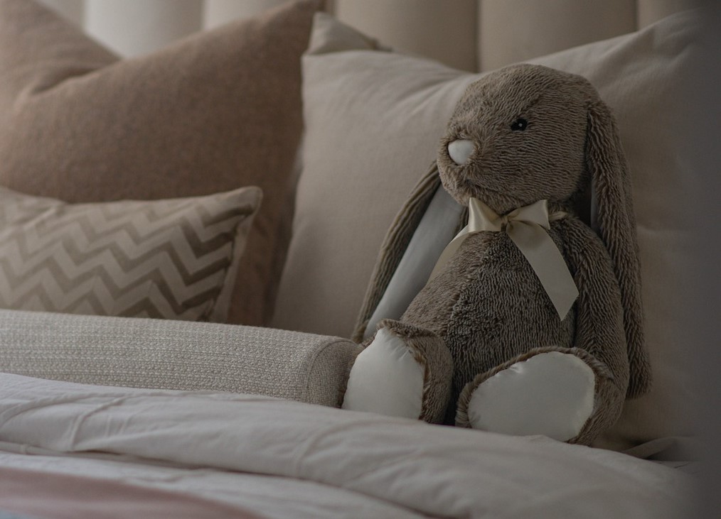 Mladým se z hnízda vyletět nechce, mamahotelu dávají přednost před samostatností 