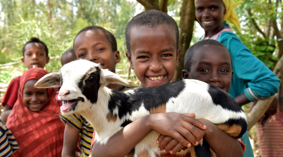 Skutečný dárek zachraňuje životy. Koupit můžete bezpečný porod nebo záchod
