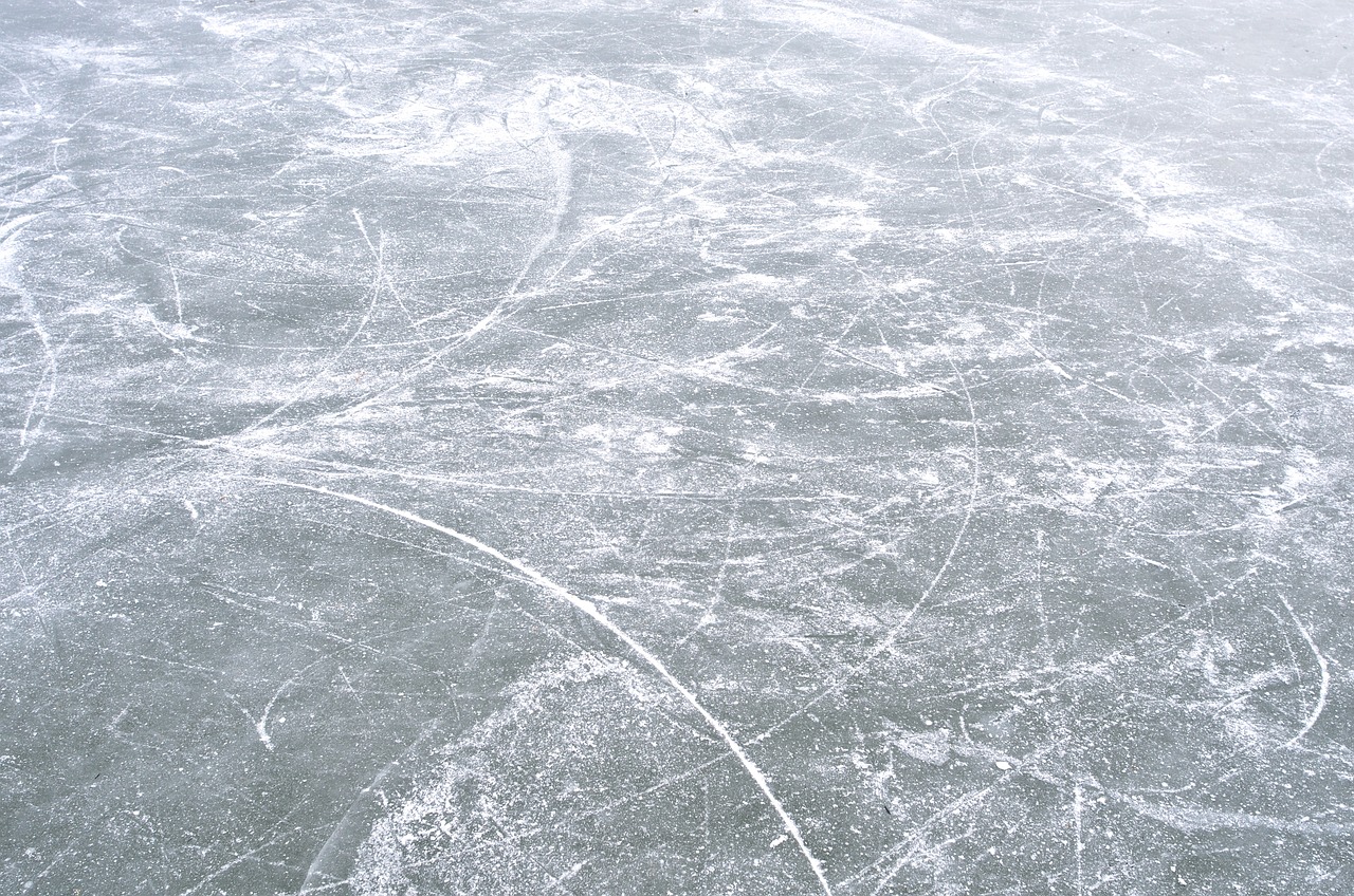 Jak se vyškrábat z ledového rybníku nebo podat záchrannou hokejku? Mluvčí jihočeských hasičů radí