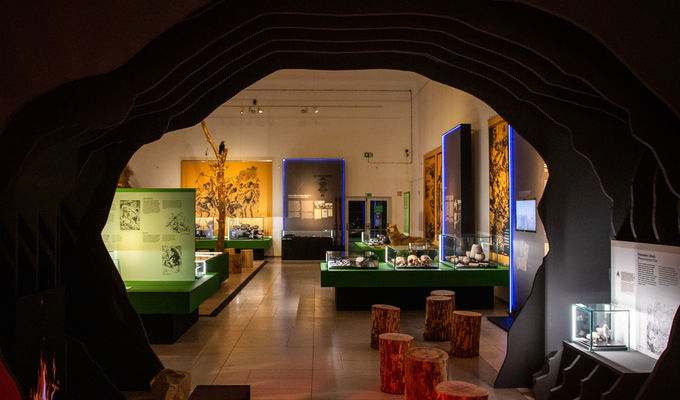 V letošním roce si Národní muzeum připomíná 100 let od převzetí archeologické sbírky Eduarda Štorcha