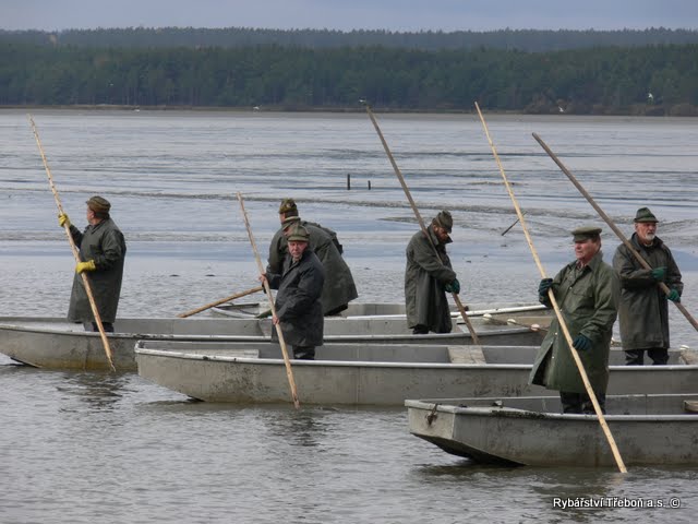 Rybáři startují sezónu a připravují se na velkou rybí slavnost na Bezdrevu. Startuje podzimní fenomén, výlovy jihočeských rybníků! 