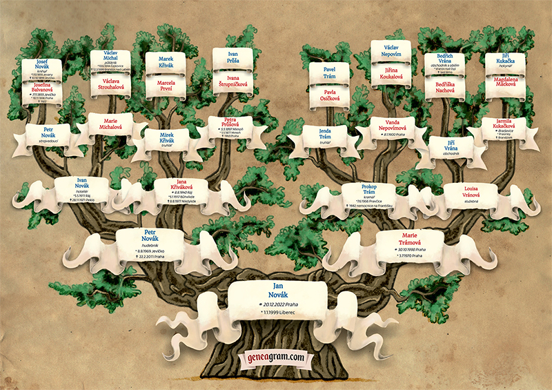 Tvorba rodokmenů je detektivka. Nikdy nevím, na co přijdu, říká genealožka