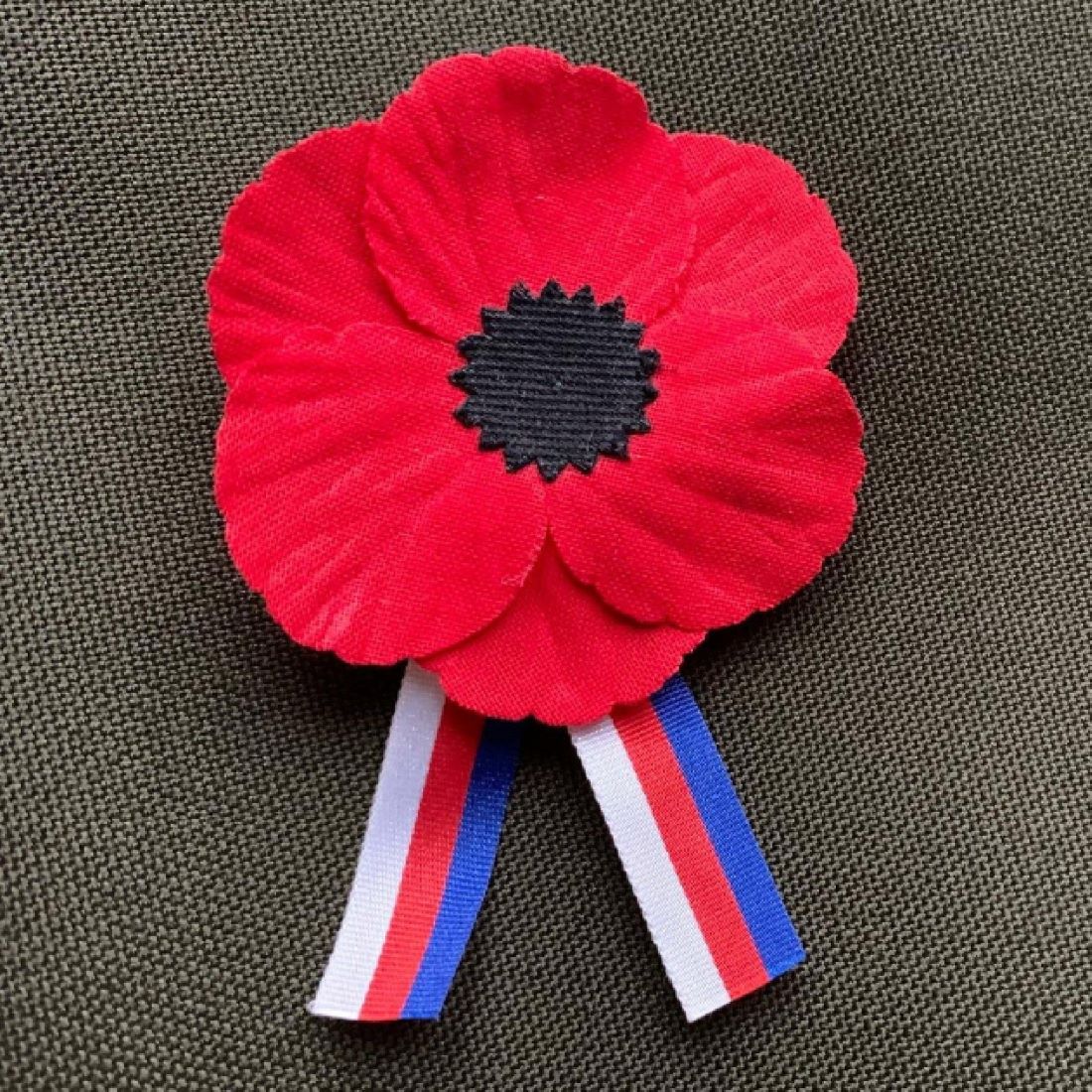 Vlčí mák pomáhá rodinám padlých, raněným veteránům a vojákům. Měl by ho nosit každý politik, říká historik